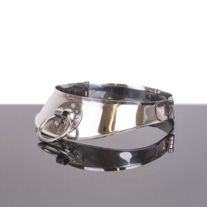 METAL-HARD-METALHARD-COLLAR-RESTRINGIDOR-CON-ANILLA-1