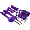 Experience - Bdsm Fetish Kit Purple Series