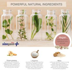 500COSMETICS-SIZEGAIN-PLUS-NATURAL-PILLS-MALE-ENHANCEMENT-1