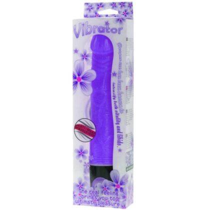 BAILE-VIBRATORS-BAILE-VIBRATOR-MULTI-SPEED-21.5-CM-PURPLE-1