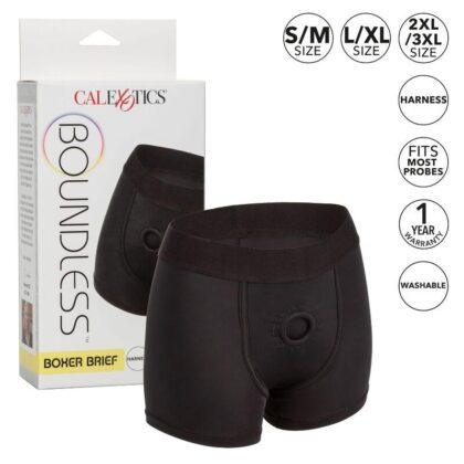 CALIFORNIA-EXOTICS-CALEX-BOUNDLESS-BOXER-BRIEF-LXL-1