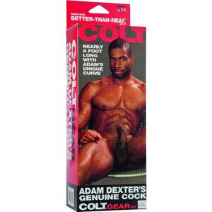 CALIFORNIA-EXOTICS-COLT-ADAM-DEXTERS-COCK-1