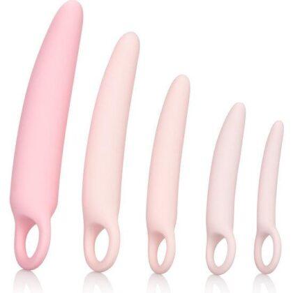 CALIFORNIA-EXOTICS-INSPIRE-SILICONE-DILATOR-5-PCS-SET-1