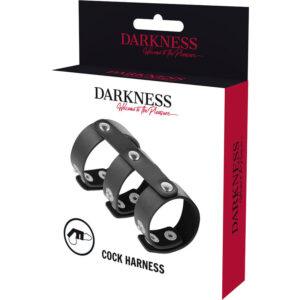 DARKNESS-BONDAGE-DARKNESS-ADJUSTABLE-LEATHER-DOUBLE-PENIS-AND-TESTICLES-RING-1