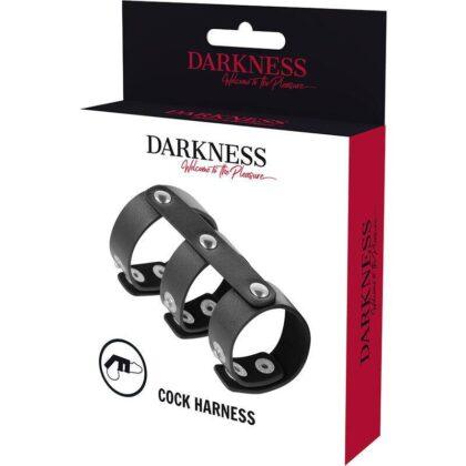 DARKNESS-BONDAGE-DARKNESS-ADJUSTABLE-LEATHER-DOUBLE-PENIS-AND-TESTICLES-RING-1