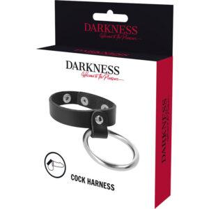 DARKNESS-BONDAGE-DARKNESS-METAL-RING-FOR-THE-PENIS-AND-TESTICLES-1
