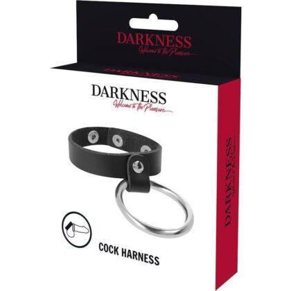 DARKNESS-BONDAGE-DARKNESS-METAL-RING-FOR-THE-PENIS-AND-TESTICLES-1