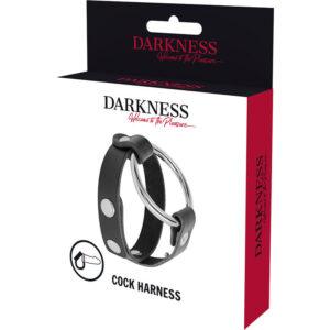 DARKNESS-BONDAGE-DARKNESS-PENIS-RING-AND-BDSM-TESTS-1