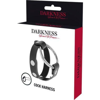 DARKNESS-BONDAGE-DARKNESS-PENIS-RING-AND-BDSM-TESTS-1