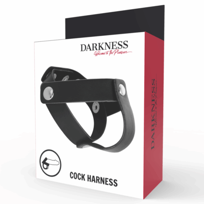 DARKNESS-SENSATIONS-DARKNESS-LEATHER-CB-STRAP-H-PIECE-DIVIDE-1