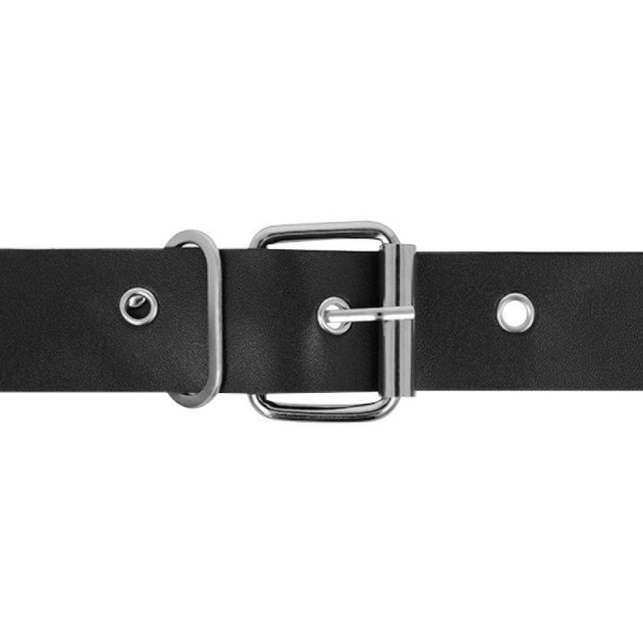 HARNESS ATTRACTION - RNES TAYLOR DELUXE 18 CM -O- 4.5 CM