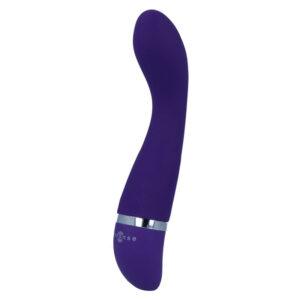 INTENSE-FUN-NTENSE-LEO-VIBRATOR-PURPLE-LUXE-1