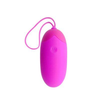 PRETTY-LOVE-SMART-PRETTY-LOVE-EGG-BERGER-REMOTE-CONTROL-12V-1