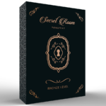 Secret Room - Pleasure Kit Bronze Level 2
