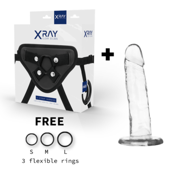 X-RAY-XRAY-HARNESS-CLEAR-COCK-18CM-X-4CM-1