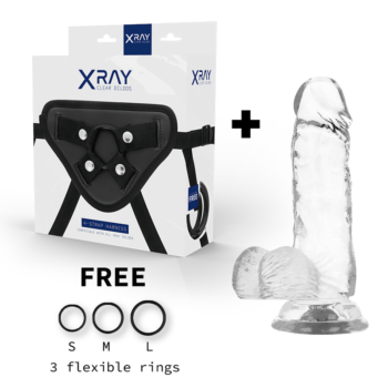 X-RAY-XRAY-HARNESS-CLEAR-COCK-WITH-BALLS-15.5CM-X-3.5CM-1