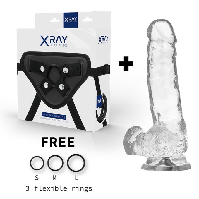 X Ray - Harness + Clear Cock With Balls 18.5 Cm -o- 3.8 Cm