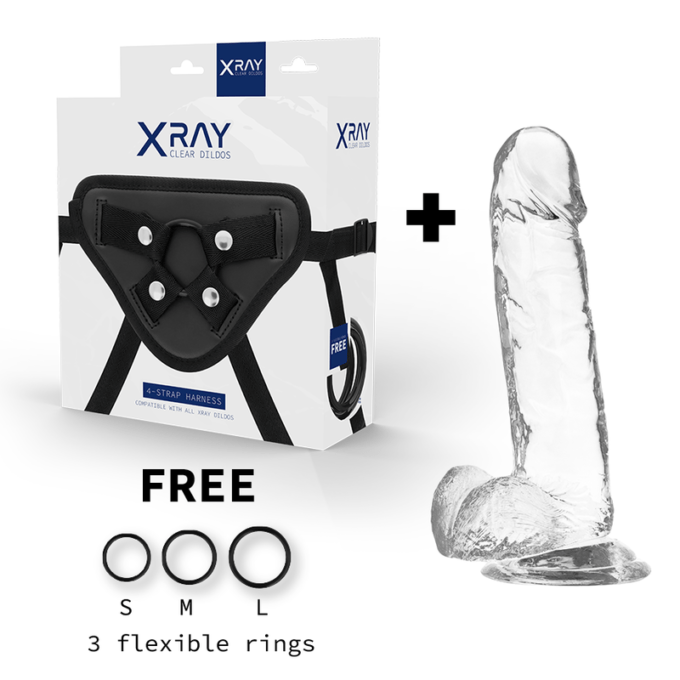 X Ray - Harness + Clear Cock With Balls 20 Cm -o- 4.5 Cm