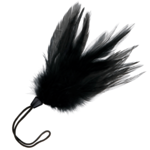 DARKNESS-SENSATIONS-DARKNESS-BLACK-FEATHER-17CM-1