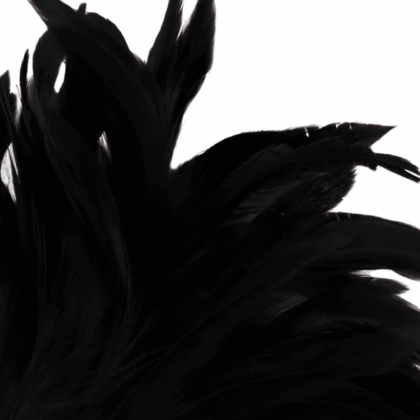 DARKNESS-SENSATIONS-DARKNESS-BLACK-FEATHER-LUX-2
