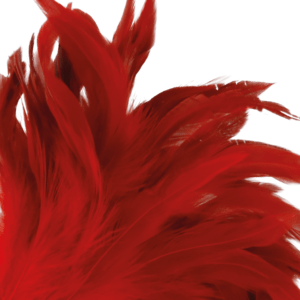 DARKNESS-SENSATIONS-DARKNESS-RED-FEATHER-24CM-1