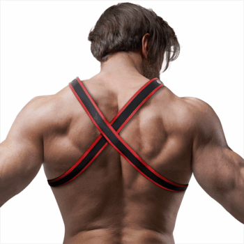 FETISH-SUBMISSIVE-ATTITUDE-FETISH-SUBMISSIVE-ATTITUDE-BULLDOG-CHEST-HARNESS-ECO-LEATHER-BLACKRED-MEN-1