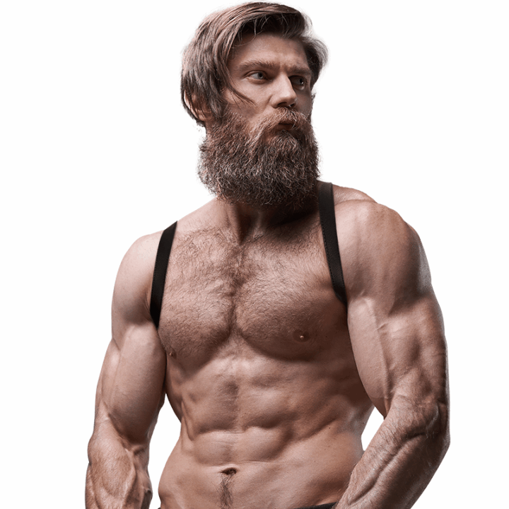 FETISH SUBMISSIVE ATTITUDE - ARREIO DE COSTAS DE COURO ECOLÓGICO MASCULINO