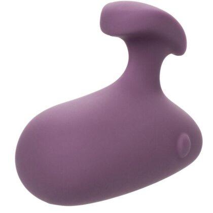 CALIFORNIA-EXOTICS-CALIFORNIA-EXOTICS-MOD-TOUCH-STIMULATOR-PURPLE-1