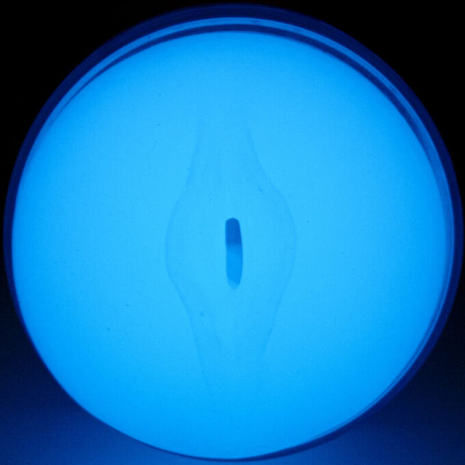 Kiiroo - Feel Glow In The Dark Stroker