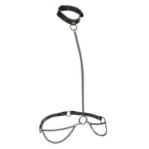 CALEXOTICS-CALEXOTICS-EUPHORIA-CHAIN-HALTER-COLLAR-LEASH-1
