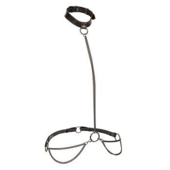 CALEXOTICS-CALEXOTICS-EUPHORIA-CHAIN-HALTER-COLLAR-LEASH-1