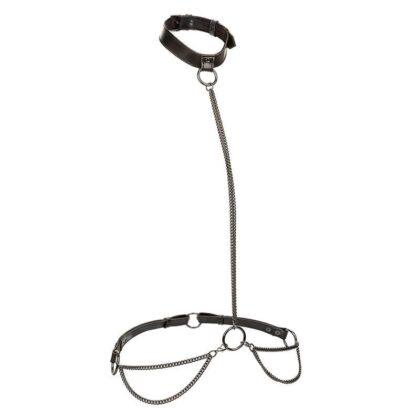 CALEXOTICS-CALEXOTICS-EUPHORIA-CHAIN-HALTER-COLLAR-LEASH-1
