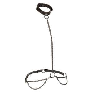 CALEXOTICS-CALEXOTICS-EUPHORIA-CHAIN-HALTER-COLLAR-LEASH-PLUS-SIZE-1