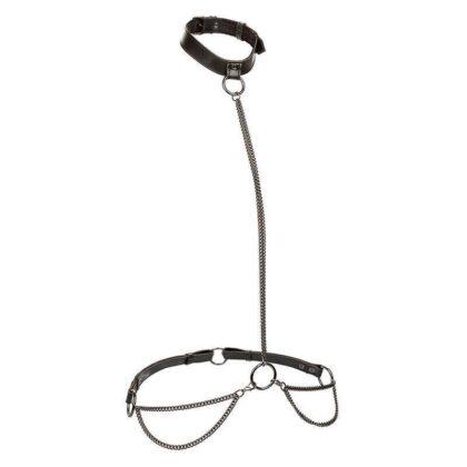 CALEXOTICS-CALEXOTICS-EUPHORIA-CHAIN-HALTER-COLLAR-LEASH-PLUS-SIZE-1
