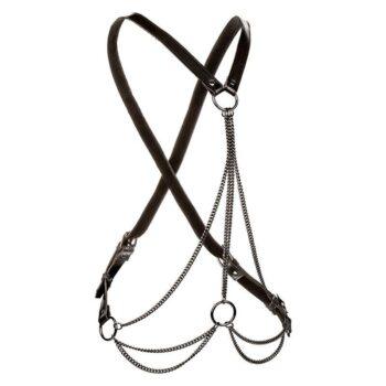 CALEXOTICS-CALEXOTICS-EUPHORIA-MULTICHAIN-HARNESS-PREMIUM-PLUS-SIZE-1