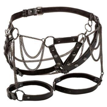 CALEXOTICS-CALEXOTICS-EUPHORIA-MULTICHAIN-THIGH-HARNESS-PREMIUM-PLUS-SIZE-1