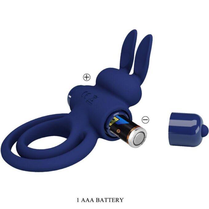 PRETTY LOVE - DAREY ANEL VIBRANTE DUPLO COELHO AZUL