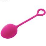 ARMONY - ANABIOSIS VAGINAL DUMBBELL 3 NÍVEIS BORGONHA