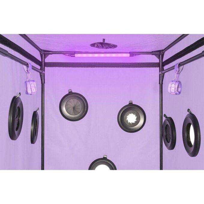 SECRET DOME - ESCÂNDALO ROXO DO CLUBE KINK