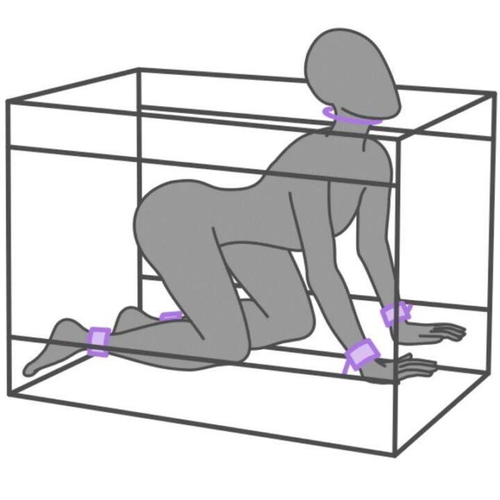 SECRET DOME - KINK CLUB LA NICHE CABINE ROXA