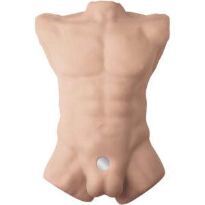 SILEXD-SILEXD-APOLLO-L-REALISTIC-MALE-TORSO-1