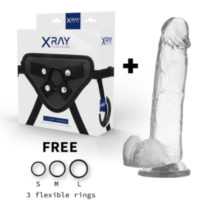 X-RAY-X-RAY-HARNESS-COCK-WITH-BALLS-22-CM-O-4.6-CM-1