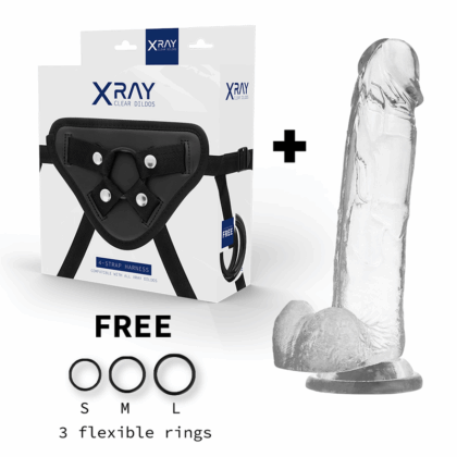 X-RAY-X-RAY-HARNESS-COCK-WITH-BALLS-22-CM-O-4.6-CM-1