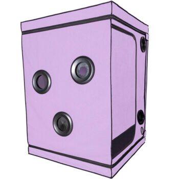 SECRET DOME - ESCÂNDALO ROXO DO CLUBE KINK