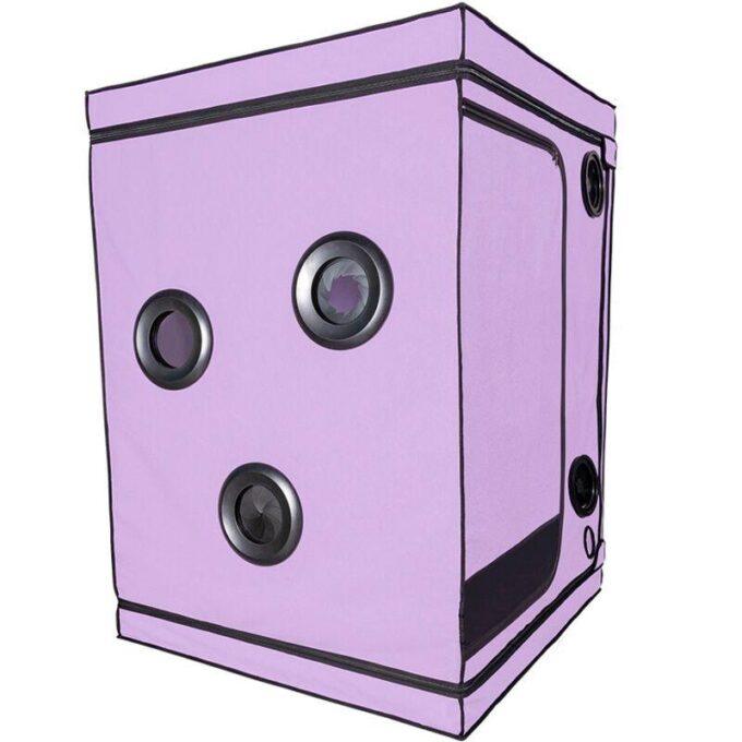 SECRET DOME - ESCÂNDALO ROXO DO CLUBE KINK