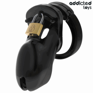ADDICTED-TOYS-LOCKED-ADDICTED-TOYS-LOCKED-FORBIDDEN-VAULT-PENIS-CAGE-10-CM-1