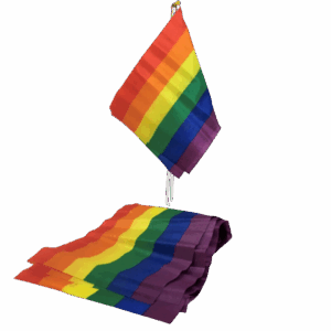 PRIDE - BANDEIRA LGBT BANDEIRA PEQUENA