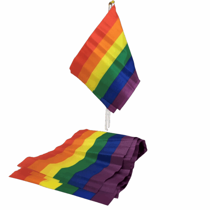 PRIDE - BANDEIRA LGBT BANDEIRA PEQUENA