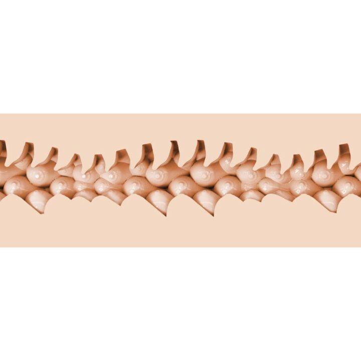 FLESHLIGHT FANTASIA - EVIE AKASHIYA VAGINA