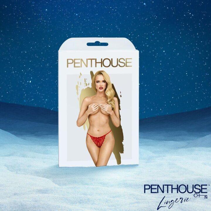 SATISFYER - CALENDÁRIO DO ADVENTO PREMIUM 2025